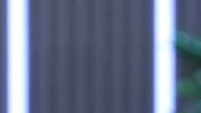 Carolina Sandoval, presentadora de televisión.