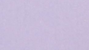 No se sabe cuáles son las deudas que tiene Carolina Sandoval.