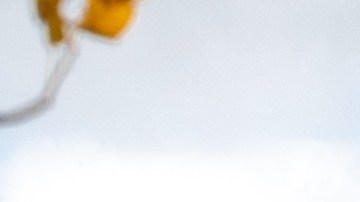 Amazon vende casa de dos pisos por menos de $50,000 dólares.