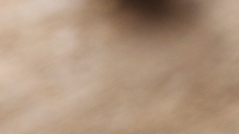 Las cervezas artesanales son elaboradas con ingredientes de origen local.