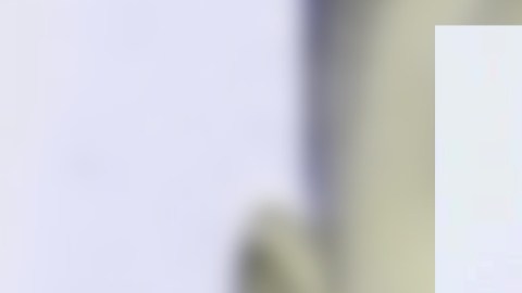 César Hernández, de 34 años, escapó de la custodia y aún lo buscan.