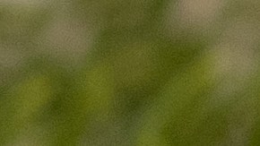 Incluir chocolate en la dieta diaria puede ayudar a mejorar las condiciones cognitivas, según investigaciones científicas.