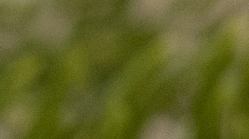 Incluir chocolate en la dieta diaria puede ayudar a mejorar las condiciones cognitivas, según investigaciones científicas.