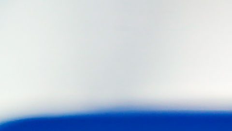 Cristóbal Ortega.