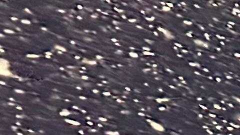 Nevadas Nueva York