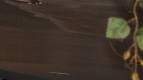 Mission Ceviche, en sus dos locales de Manhattan, ofrecerá lo mejor de la comida peruana en un ambiente de fiesta.