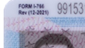 Habrá nueva extensión automática del Documento de Autorización de Empleo.