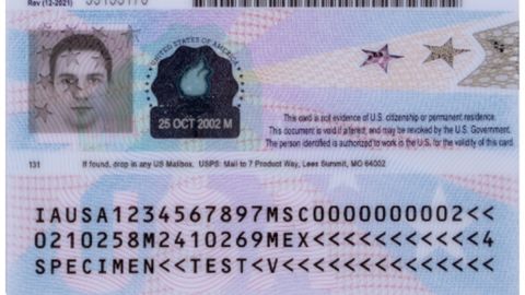Habrá nueva extensión automática del Documento de Autorización de Empleo.