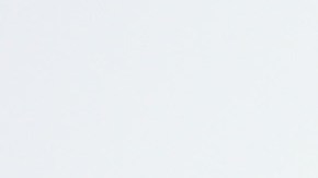 Ellen DeGeneres está celebrando 20 años de relación con Portia de Rossi.