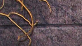 Eugenio Derbez suele hacer decoraciones bastante extravagantes.