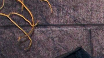 Eugenio Derbez suele hacer decoraciones bastante extravagantes.