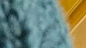 Fleur Hassan-Nahoum es la enviada especial del Ministerio de Asuntos Exteriores para el Comercio y la Innovación.