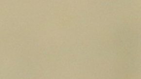 Floyd Mayweather Jr.