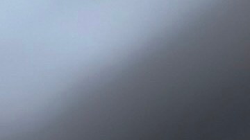 El té desprende a compuesto que descomponen los residuos de comida.