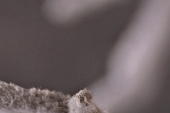 Los dulces y galletas no pueden faltar en las celebraciones de navideñas.