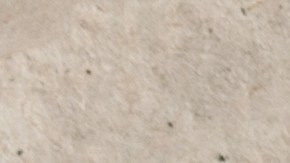 El huevo es una proteína completa, versátil y de fácil digestión.