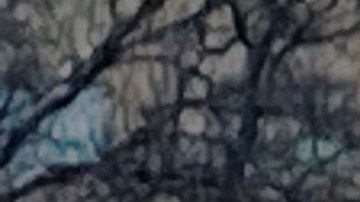 Familia jugando con la nieve en Queens (NYC) el 24 de diciembre de 2024.