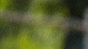 Jesús Brígido llega como nuevo refuerzo de los Tuzos del Pachuca.