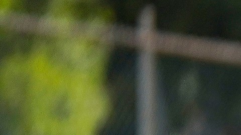 Jesús Brígido llega como nuevo refuerzo de los Tuzos del Pachuca.
