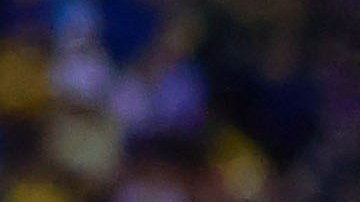 Álvaro Fidalgo destaca el triunfo del Club América y se olvida de las críticas por el penal.