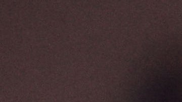 Henry Martín celebra su triunfo con las Águilas del Club América en la Liga MX.