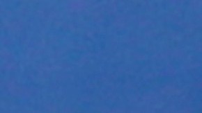 Joe Biden y Jill Biden comparten detalles de su última decoración de Navidad en La Casa Blanca.