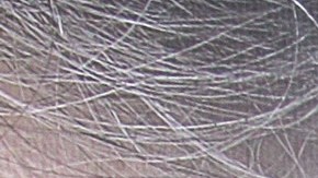 Juan Osorio y su prometida Eva Daniela.