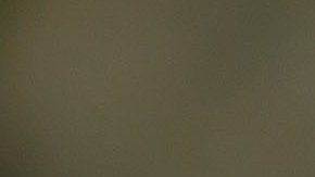 La papaya y la avena tienen propiedades digestivas.