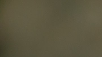 La papaya y la avena tienen propiedades digestivas.