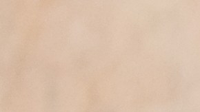 Conoce los beneficios del tomate por su alto nivel nutricional.