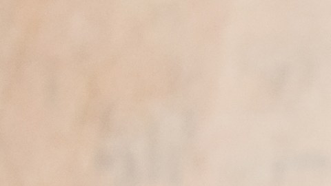 Conoce los beneficios del tomate por su alto nivel nutricional.