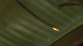 Julián Gil habló sibre la distancia con su hijo en estas fechas navideñas.