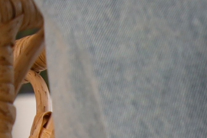 Alimentar a tu perro