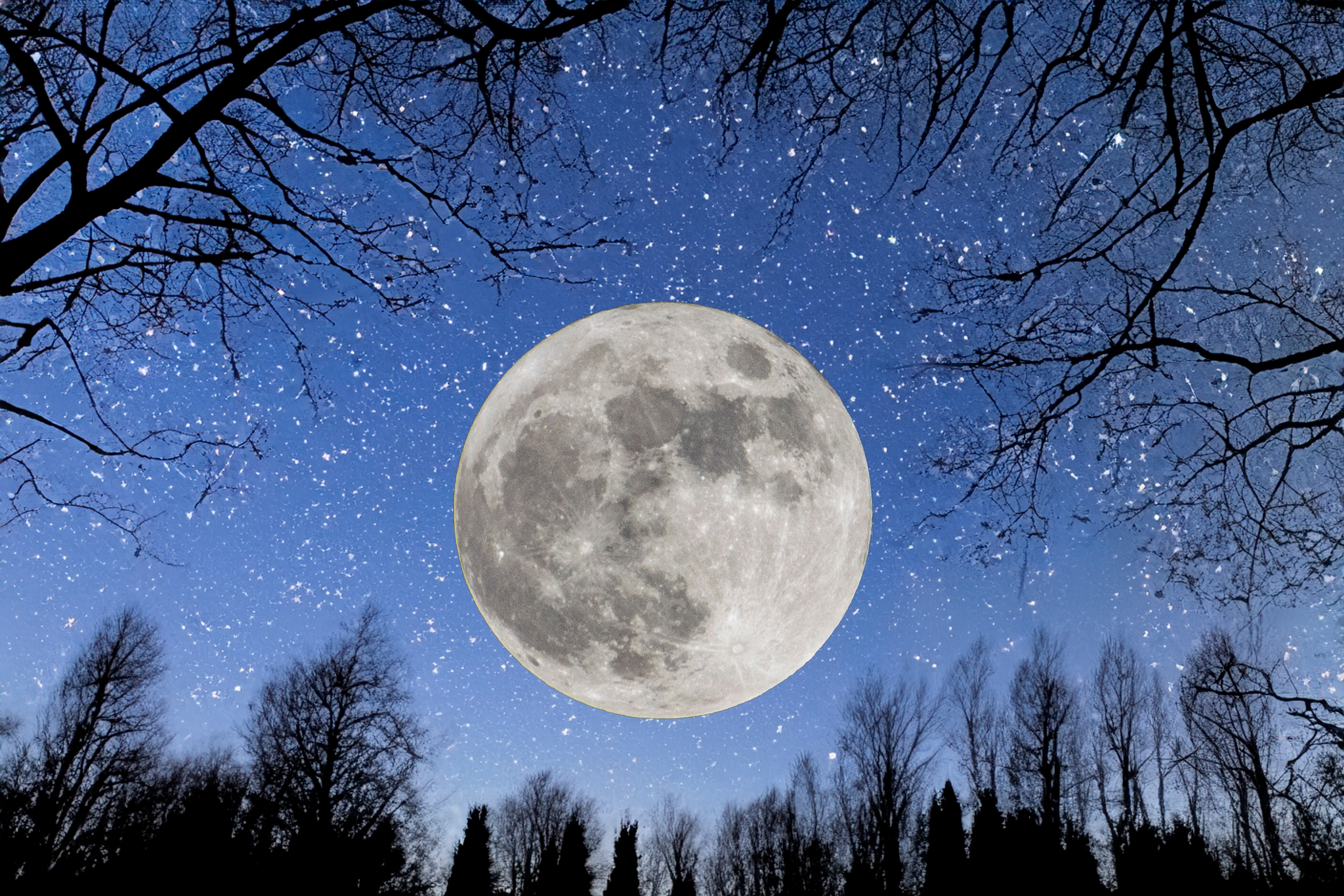 Conoce todos los detalles de la luna llena de diciembre 2024 - El Diario NY