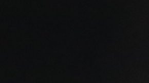 Aficionados durante un partido de la Premier Lacrosse League.