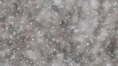 Nieve EE.UU.