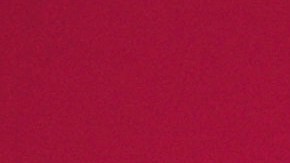 Lili Estafan mostró orgullosa la decoración de este año.