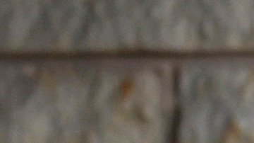 Luigi Nicholas Mangione es escoltado al juzgado del condado de Blair, el martes 10 de diciembre de 2024, en Hollidaysburg, Pensilvania.