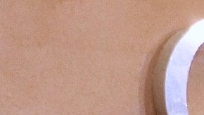 Luis Enrique, Sylvia Pasquel y Alejandra Guzmán lloran la muerte de su mamá Silvia Pinal.