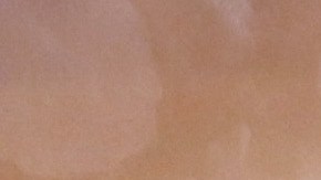 Luis Enrique Guzmán, Sylvia Pasquel y Alejandra Guzmán en el funeral de Silvia Pinal.