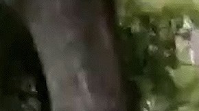 Luis Enrique Guzmán cambió la cerradura para evitar la entrada de quien fue la asistente personal de su madre.