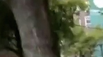 Luis Enrique Guzmán cambió la cerradura para evitar la entrada de quien fue la asistente personal de su madre.