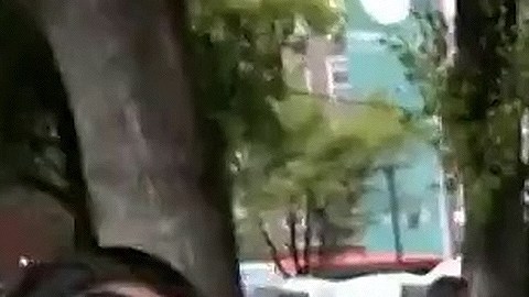 Luis Enrique Guzmán cambió la cerradura para evitar la entrada de quien fue la asistente personal de su madre.