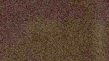 Luis Miguel se presentó en más de 20 países durante su gira.