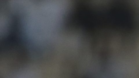 Real Madrid, campeón Copa Intercontinental.