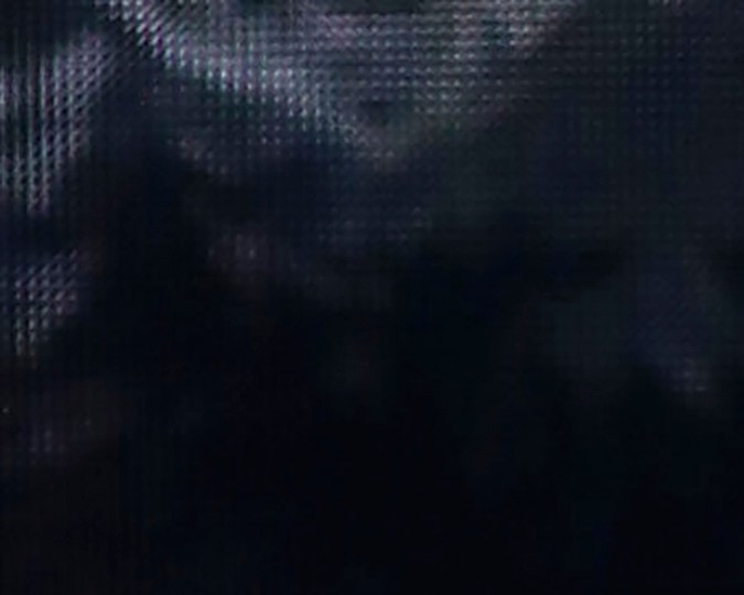 Mariah Carey tiene la tradición de pasear en trineo.