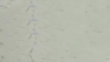 Maribel Guardia junto a su nuera Imelda Tuñón.