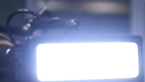 Max Fried en su presentación con New York Yankees.