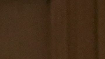 El presidente electo de Georgia, Mikheil Kavelashvili, asiste al parlamento georgiano en Tbilisi, Georgia.