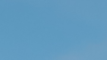 Las minicasas rodantes se han vuelto la mejor opción para algunos compradores.